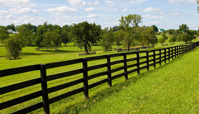 Equestrian Fences